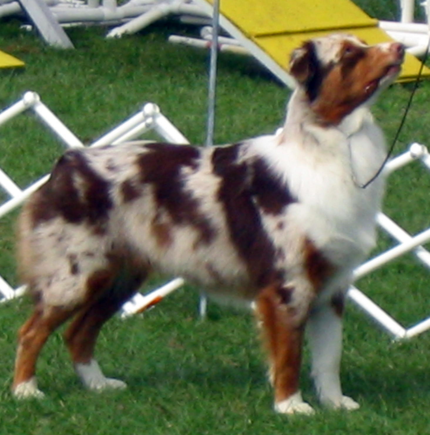 Gabby