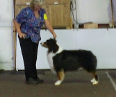 Tenor