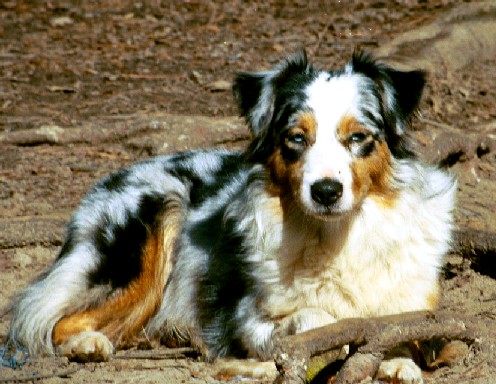 Zoey